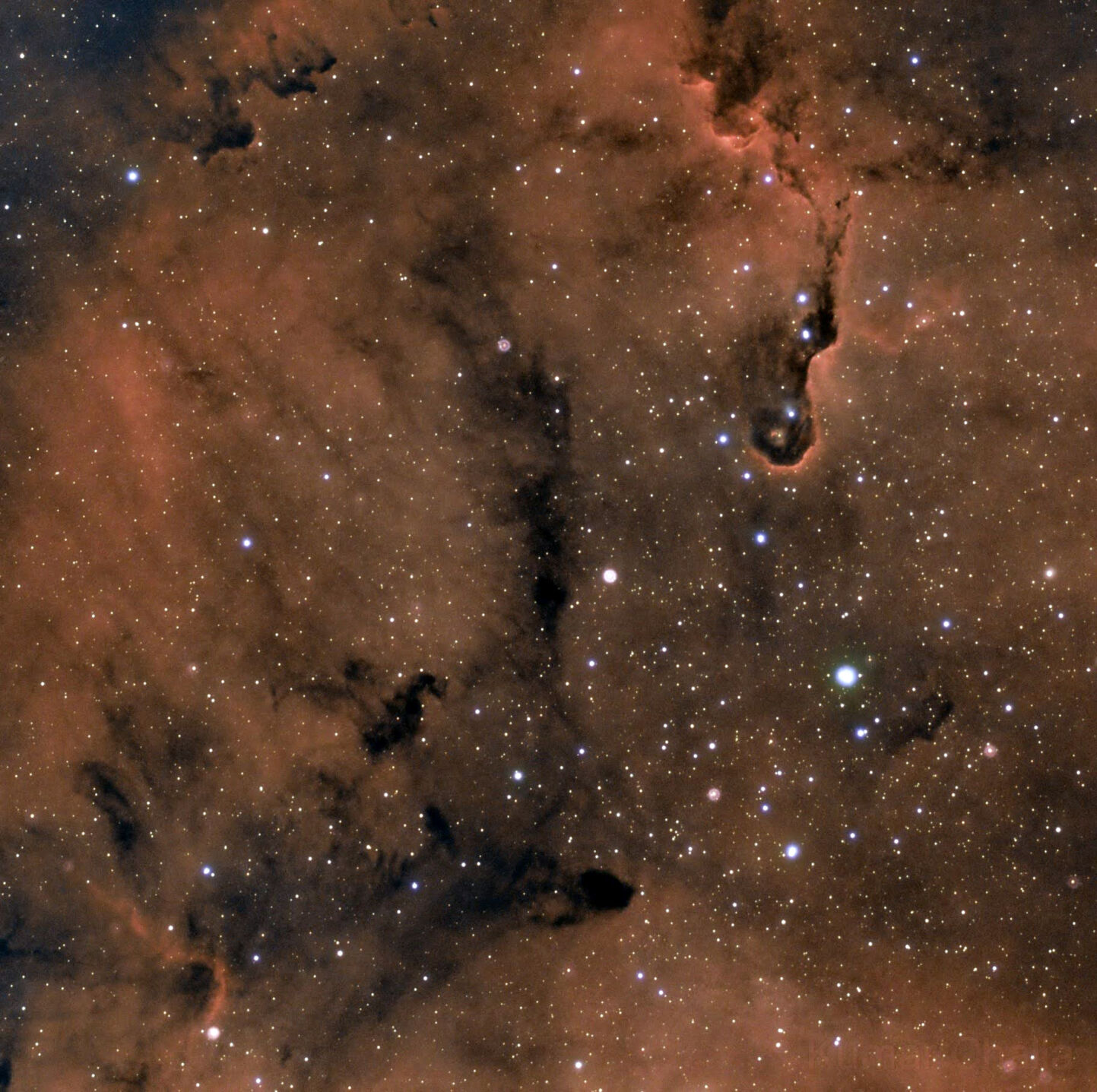 Star Party /COPYRIGHT RESTRICTED